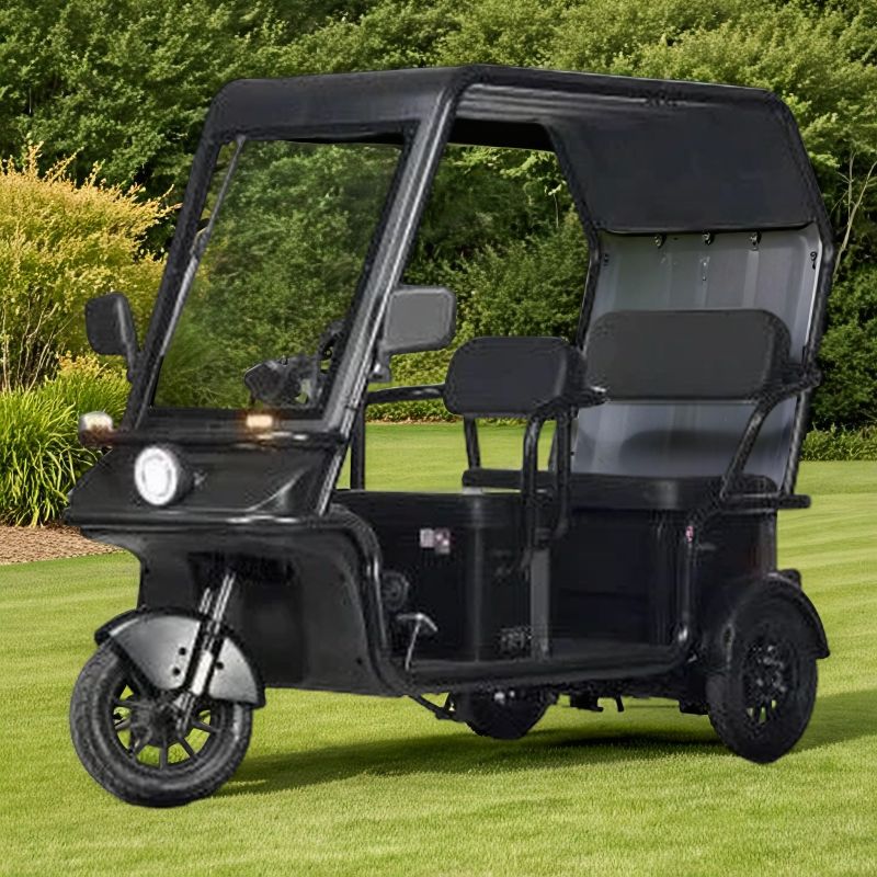 Электротрицикл Wanshida NIPLA 570 60V 1000Вт Электротрицикл Wanshida NIPLA 570 60V 1000Вт